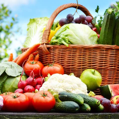 Photo of Garden Goodness