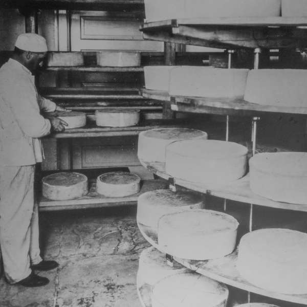 Photo of Inspecting Wheels